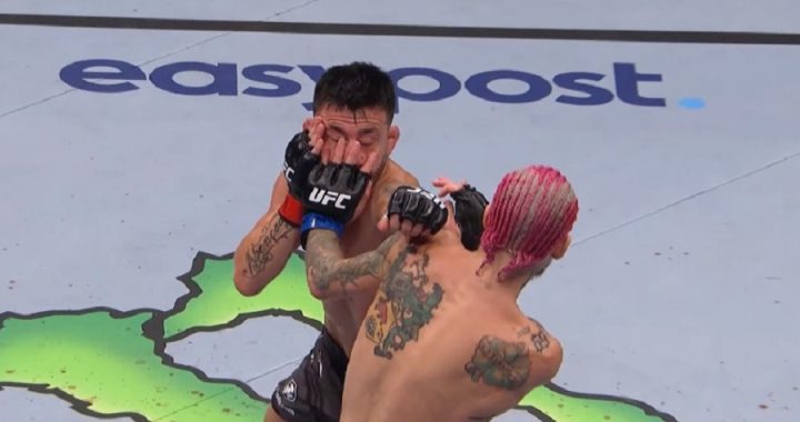 eye poke, UFC 276, UFC gloves