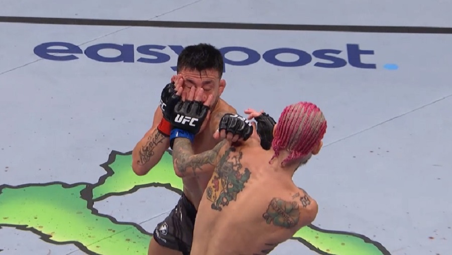 eye poke, UFC 276, UFC gloves