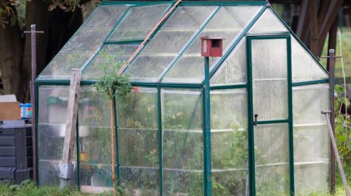 Greenhouses
