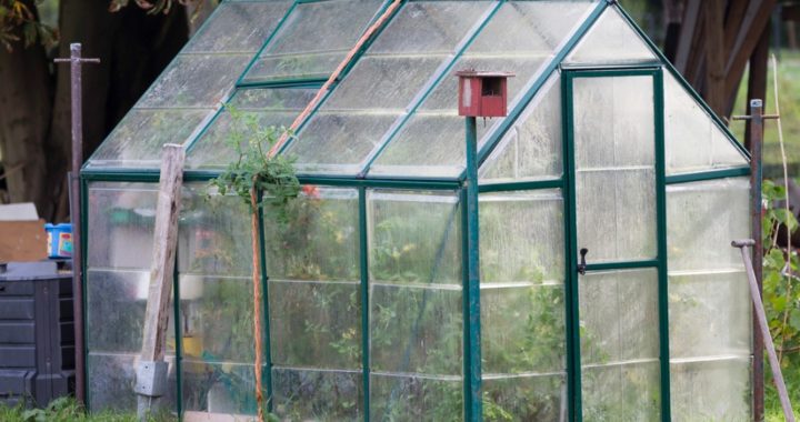 Greenhouses