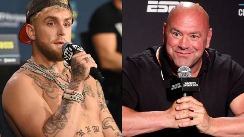Dana White, Jake Paul