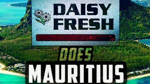GrappleFest Africa - Daisy Fresh does Mauritius