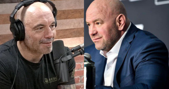 joe rogan dana white