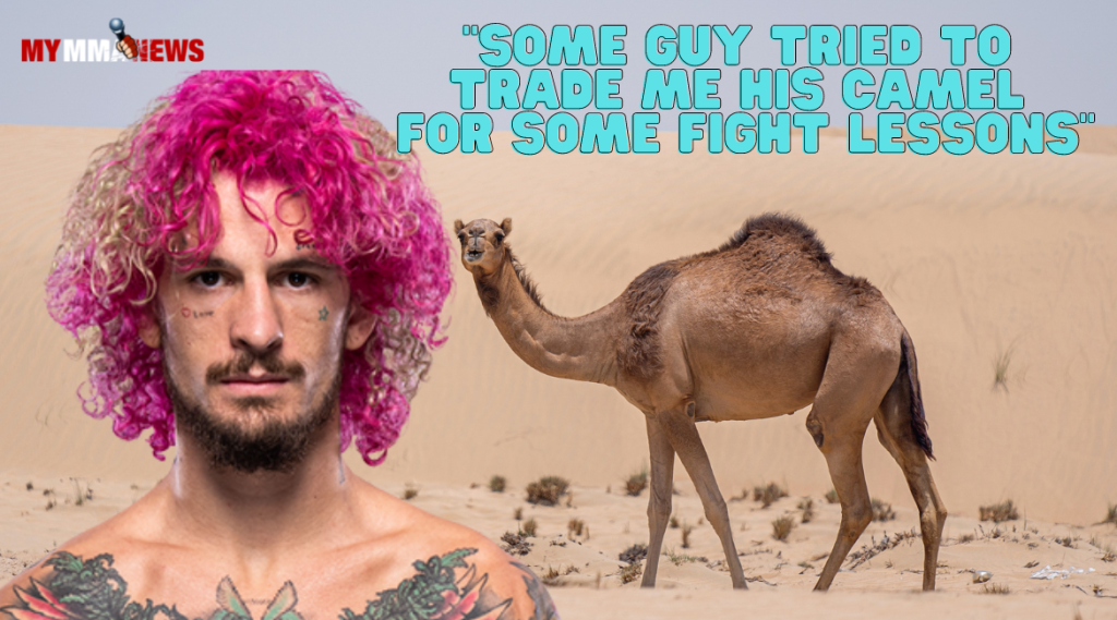 Sean O'Malley says a fan offered him a camel in exchange for fight lessons