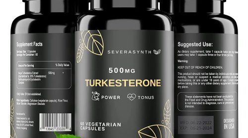 best sports supplement