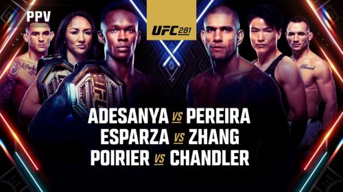 Order UFC 281, UFC 281, UFC 281 results