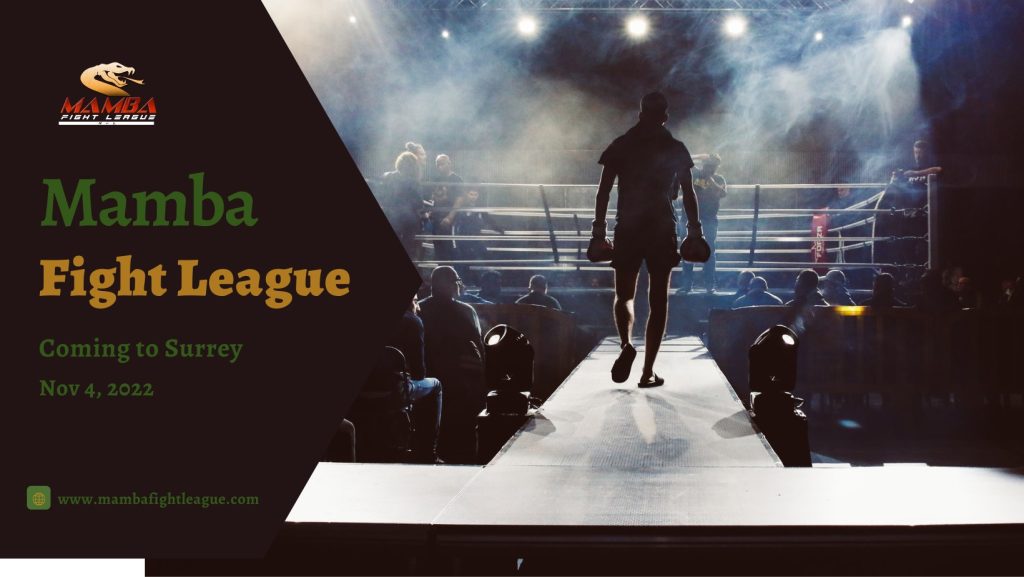 Mamba Fight League 11 Live Stream Watch Here