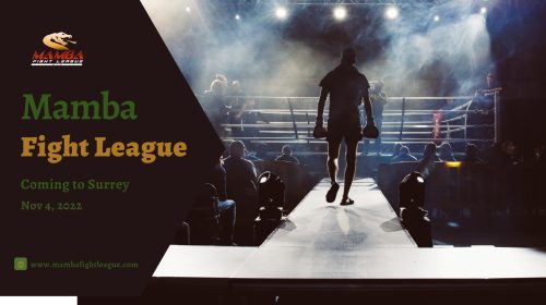 Mamba Fight League 11 - Live Stream - Watch Here