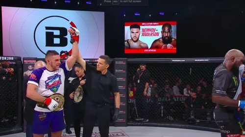 Vadim Nemkov defeats Corey Anderson in rematch, wins gran prix and defends title at Bellator 288