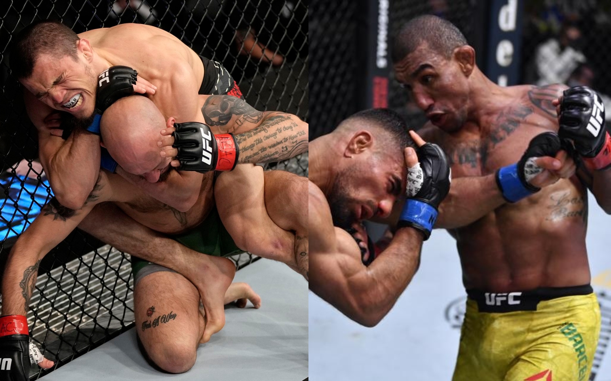Umar Nurmagomedov vs Raoni Barcelos booked for UFC FN 217 in January 2023 - Vimarsana News