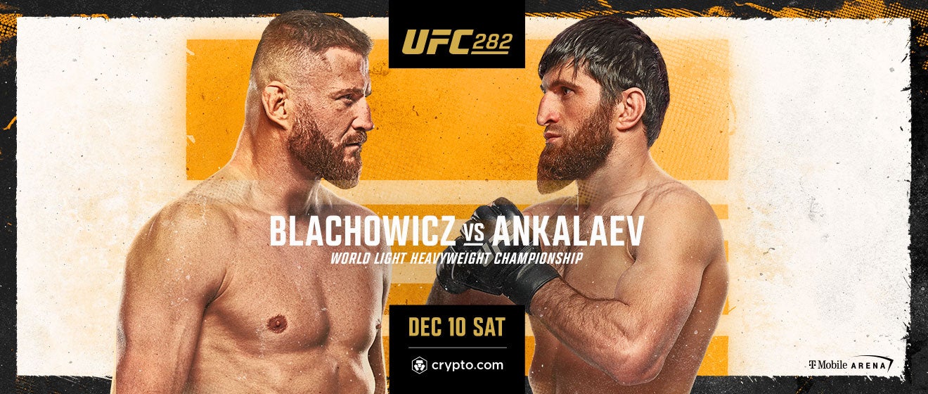 UFC 282