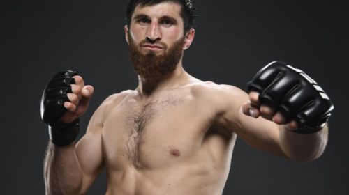 rising stars, Magomed Ankalaev