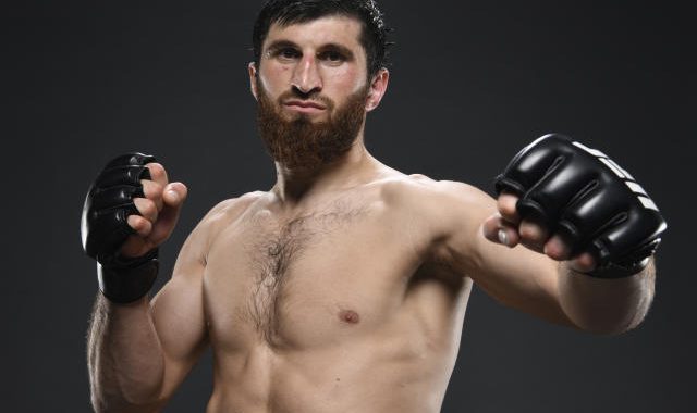 rising stars, Magomed Ankalaev