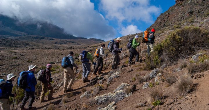 Kilimanjaro