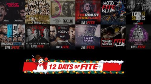 holiday gift, combat sports, FITE, FITE+