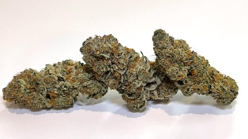 Mendo Breath Strain Seeds Benefits