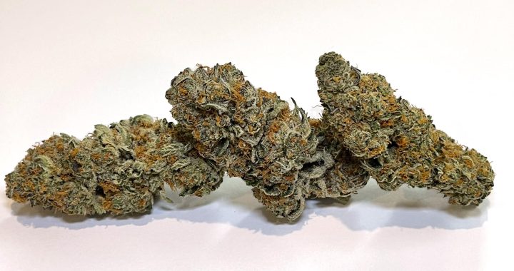 Mendo Breath Strain Seeds Benefits