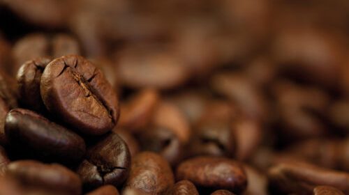 premium coffee beans