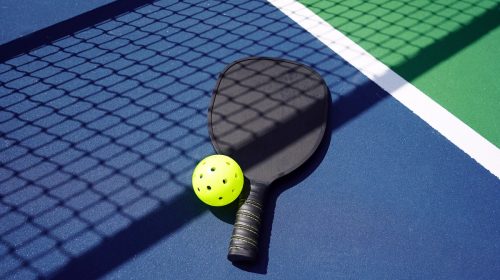 Pickleball Paddle