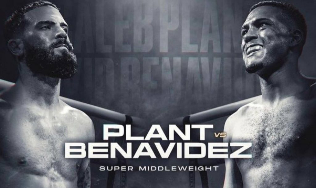 Caleb Plant, David Benavidez