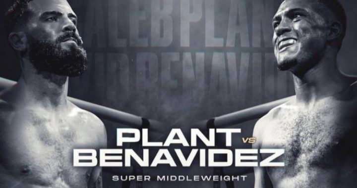 Caleb Plant, David Benavidez