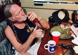 celebrities, willie nelson