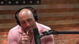 celebrities, joe rogan