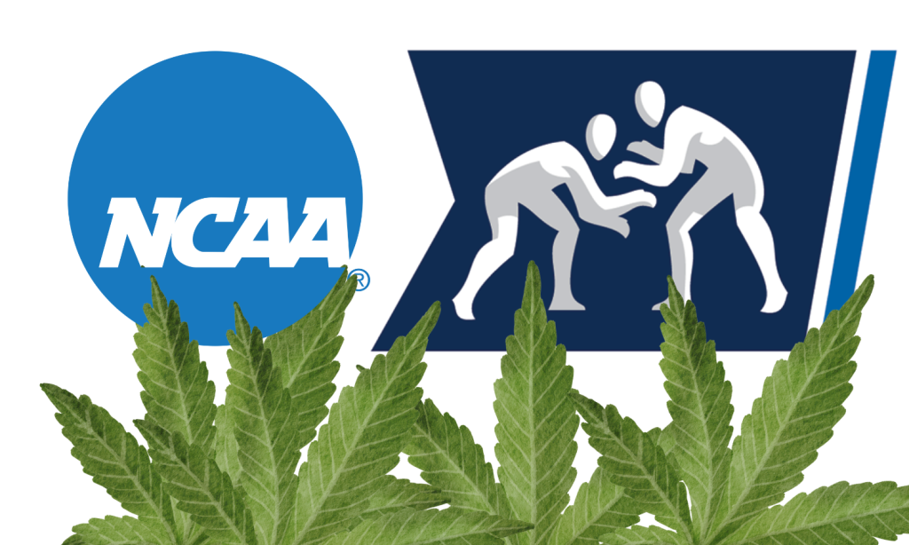 NCAA, marijuana