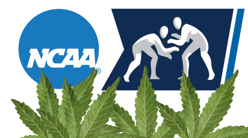 NCAA, marijuana