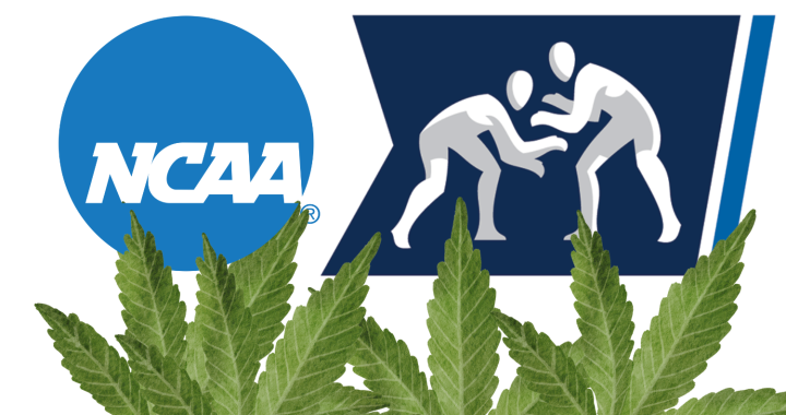 NCAA, marijuana