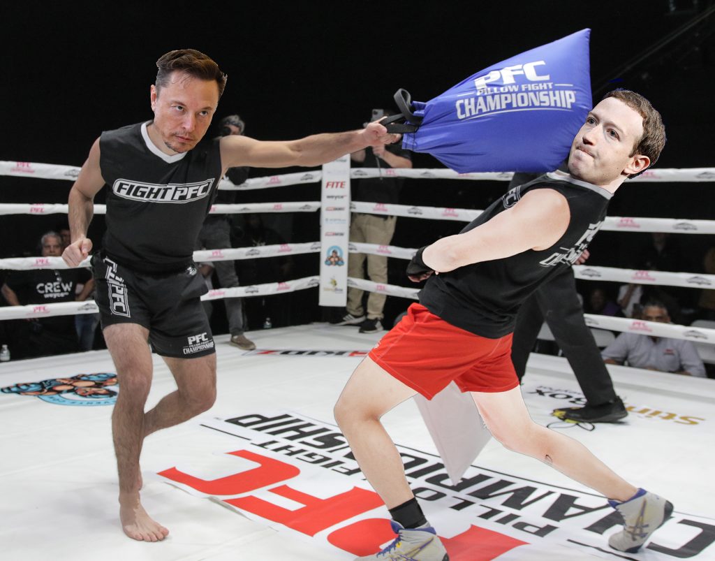 Elon Musk vs Mark Zuckerberg, pillow fight, Pillow Fight Championship