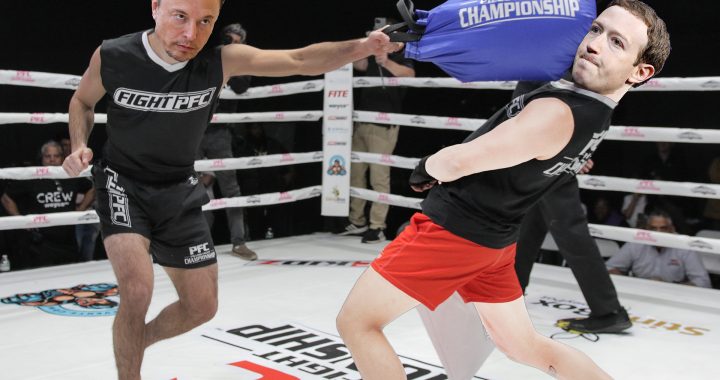 Elon Musk vs Mark Zuckerberg, pillow fight, Pillow Fight Championship