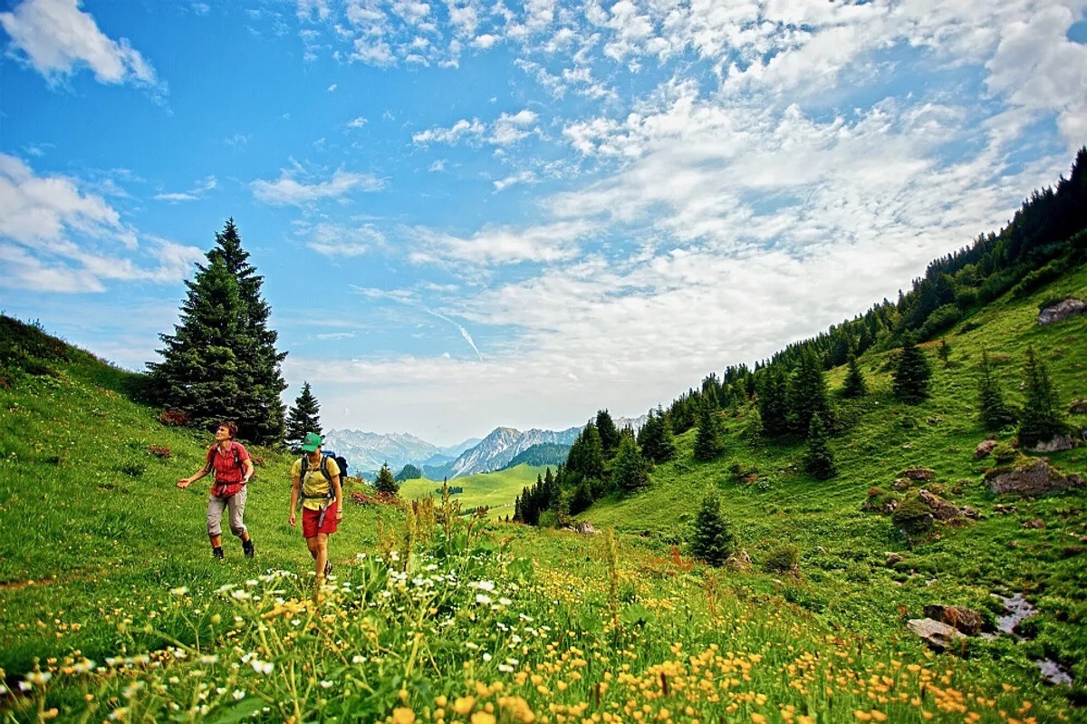 SwissDetox: Unlocking the Path to Holistic Wellness - Vimarsana News