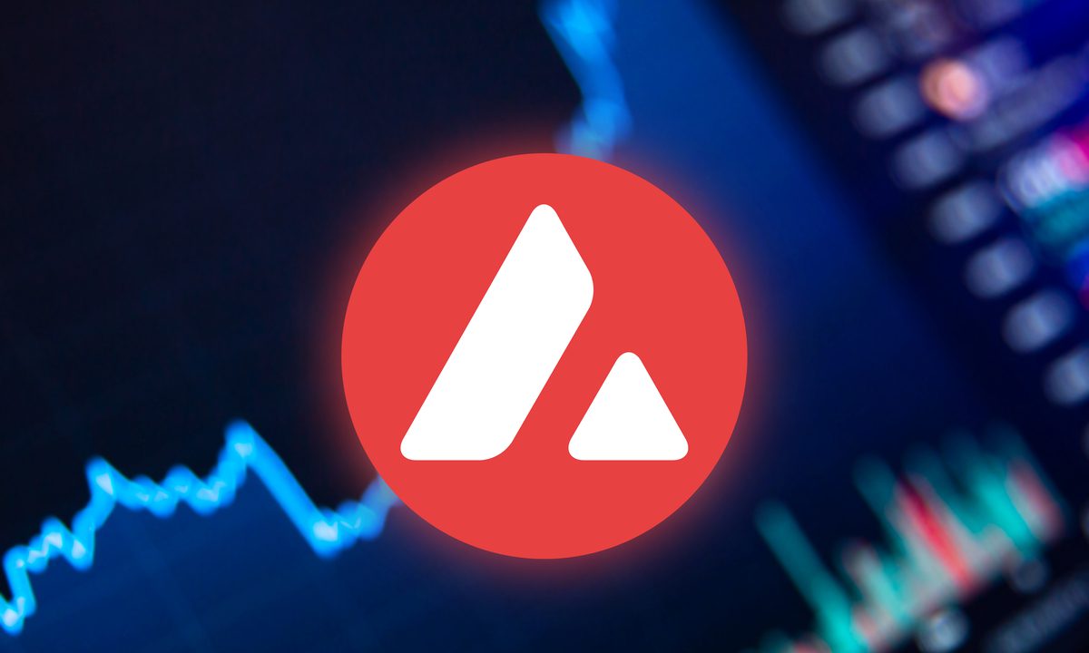 Avalanche: Project Overview and Potential Analysis - Vimarsana News
