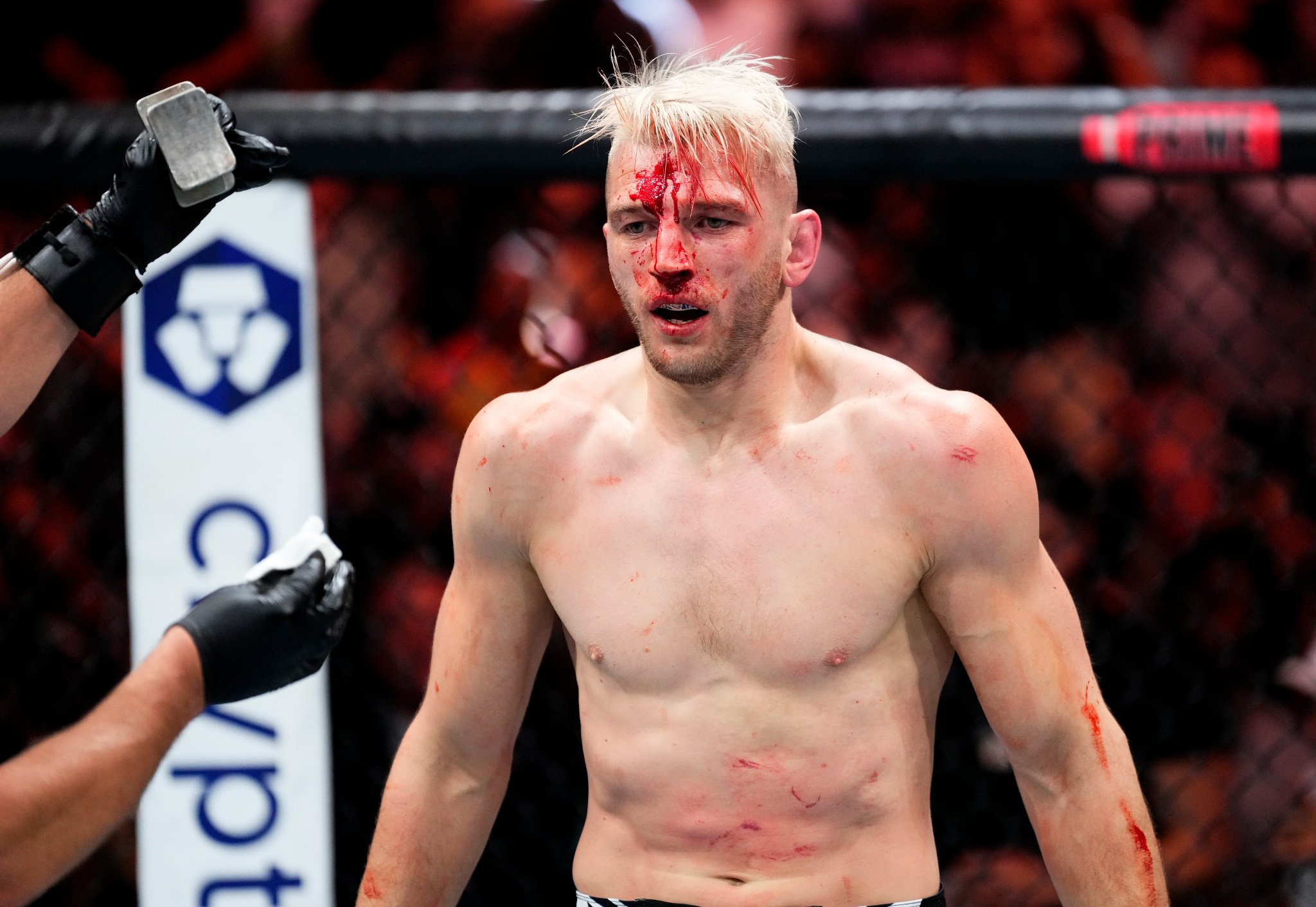 Tattoo artist's cute designs shared, image size:2048x1412