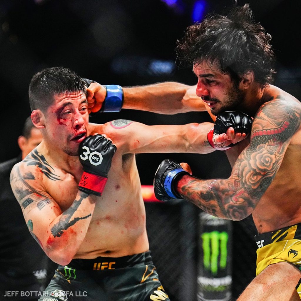 Alexandre Pantoja, UFC 290