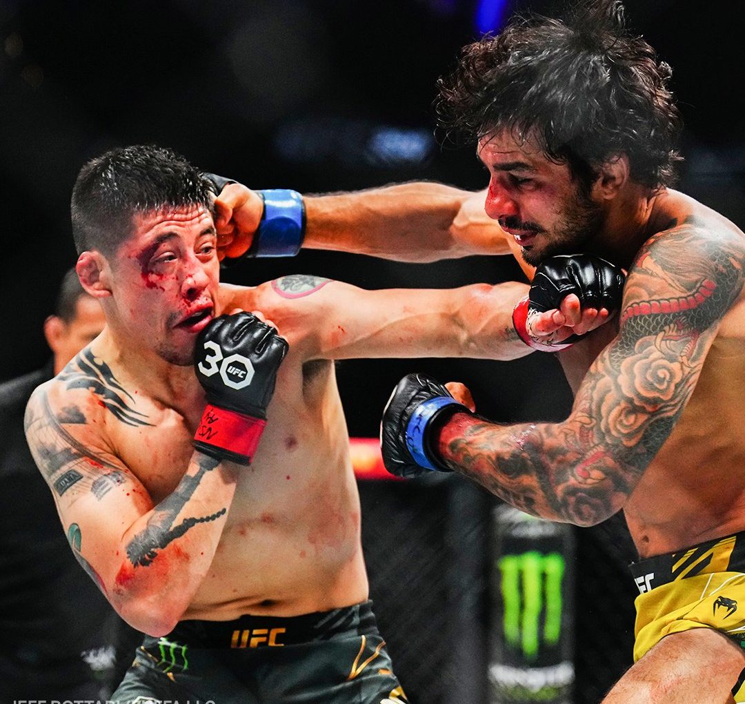 Alexandre Pantoja, UFC 290