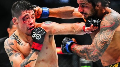 Alexandre Pantoja, UFC 290