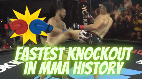 Fastest Knockout in MMA History, fastest knockout, titan fc 83