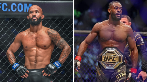 Demetrious Johnson, Aljamain Sterling