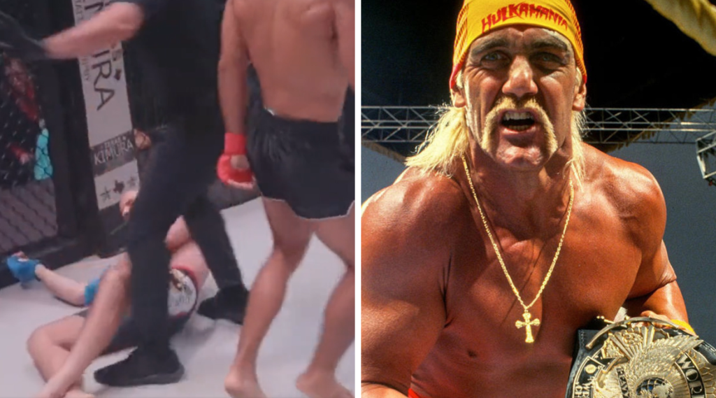 David Bollea, Hulk Hogan