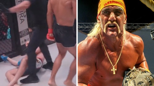 David Bollea, Hulk Hogan