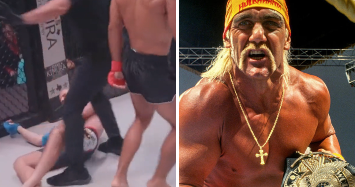 David Bollea, Hulk Hogan