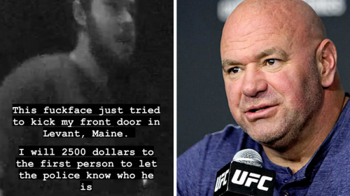 Dana White