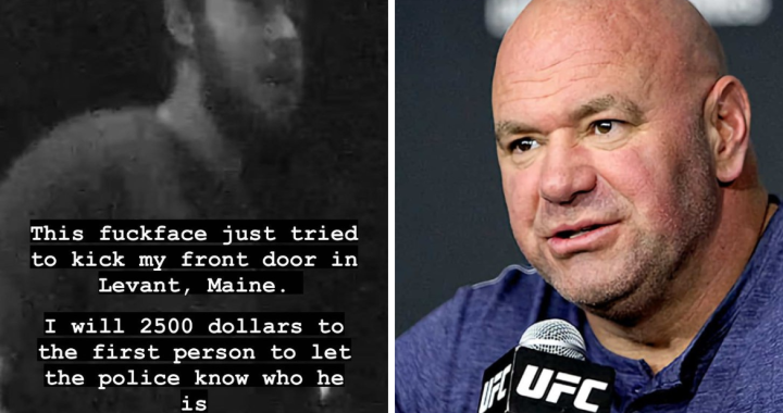 Dana White