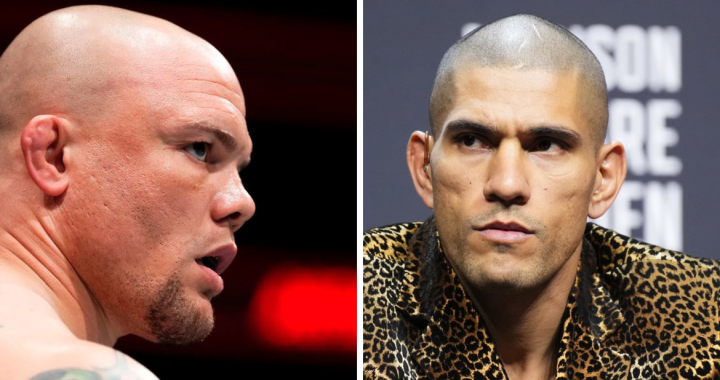 Anthony Smith, Alex Pereira