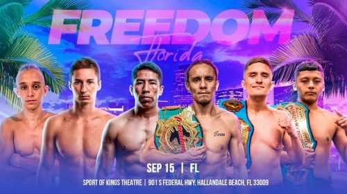 Freedom Fighter Promotions, Freedom 17