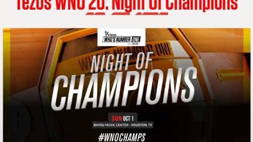 WNO 20, Night of Champions, Who's Number One