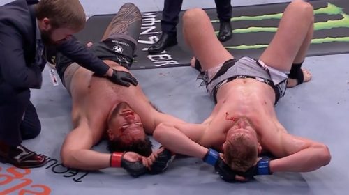 Alexander Volkov, UFC 293