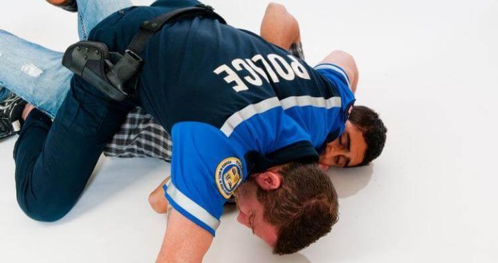 Michigan, police officers, jiu-jitsu